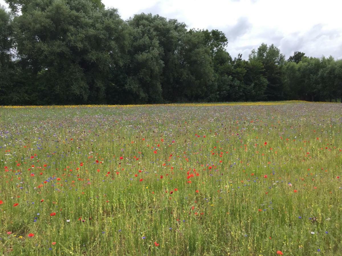 Zee Vakantievilla Begijnhof 5 De Haan Nieuwmunster Buitenkant foto